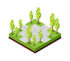 park road and apple trees isometric 3d icon. public park decorative plant and green grass vector ill
