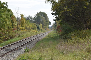 Railway tracks in the country 2