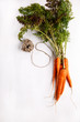 Bunch of fresh carrots with green leaves on white background.