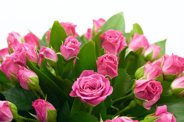 Wall Mural - bouquet of roses