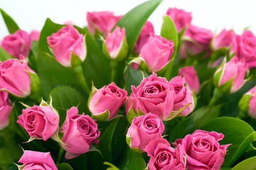 Wall Mural - bouquet of roses