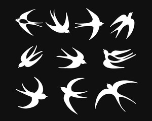 Poster - Swallows, seamless pattern for your design