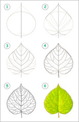 Wall Mural - Page shows how to learn step by step to draw a linden leaf. Developing children skills for drawing and coloring. Vector image.