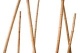 Fototapeta Fototapety do sypialni na Twoją ścianę - bamboo stems isolated on white