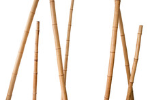 Bamboo Cane Background Free Stock Photo - Public Domain Pictures