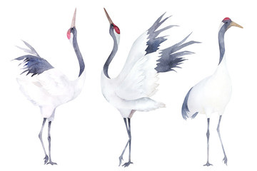 Obraz na płótnie ptak sztuka japonia