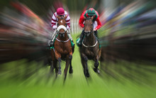 Horse Race Action Motion Blur Effect 