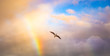 Vogel in den Wolken mit Regenbogen
