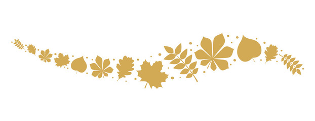 Wall Mural - concept of header with autumnal leaves. vector.