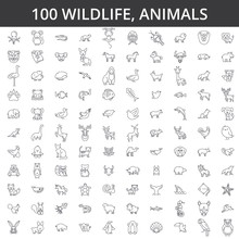 Wildlife African, Sea, Domestic, Forest, Zoo Animals, Cat, Dog, Wolf, Fox, Tiger, Fish Bear Horse Dino Rhino Monkey Line Icons Signs Illustration Vector Concept Editable Strokes