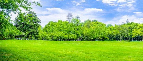 Park green trees