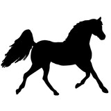 Fototapeta Konie - rearing up horse fine vector silhouette and outline - graceful black stallions