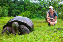 Galapagos Giant Tortoise With Young Woman (blurred In Background) Sitting Next To It On Santa Cruz Island In Galapagos National Park, Ecuador