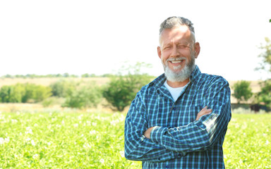 Poster - Mature farmer standing in field