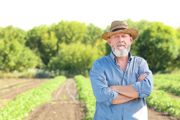 Poster - Mature farmer in field