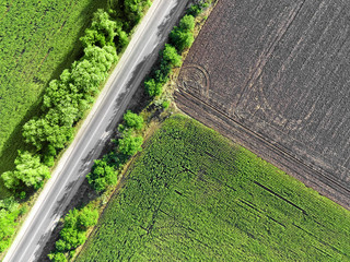 Wall Mural - Beautiful fields on sunny day, top view