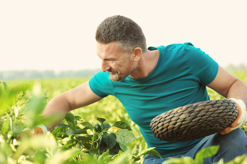 Sticker - Male farmer working in field