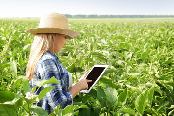 Poster - Female farmer with tablet computer in field