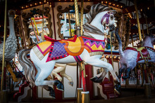 Classic Merry-Go-Round Horse