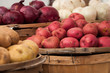 Farmers Market Potatoes and Onions