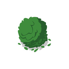 green bush isolated vector icon. public park decorative plant and green grass vector illustration. n
