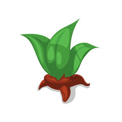 green decorative plant isolated vector icon. public park decorative plant and green grass vector ill