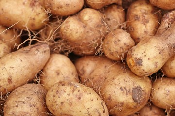 sweet potatoes at the market