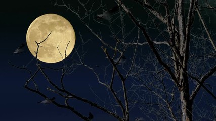 Wall Mural - Mystery night landscape with full moon, trees and birds