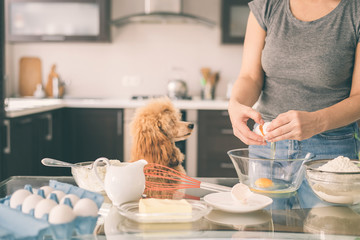 Wall Mural - Young woman with her dog is cooking on the kitchen .  