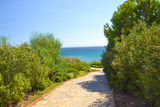 Fototapeta Tulipany - Stone path in the garden leading to the sea