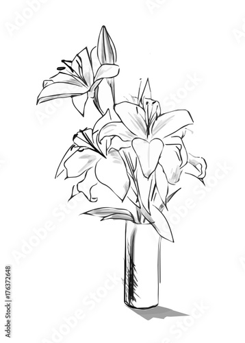 Lilies Branch In Vase Pencil Sketch Style Graphic Image Of