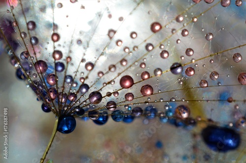 colorful drops