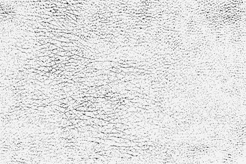 Leather texture background. vector