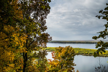 Autumn Tree In Front Of Volga River With Small Green Island