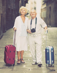 Wall Mural - Senior woman and man travelling together, walking with baggage on city