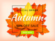 Autumn sale background layout decorate with leaves for shopping sale or promo poster and frame leaflet or web banner. Poster, card, label, banner design. Vector illustration template.