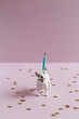 © Laura Stolfi/Stocksy - Bull-terrier dog shaped toy with birthday candle on its back and golden stars