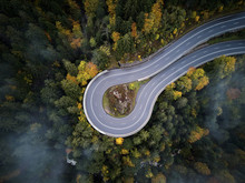 Street From Above Trough A Misty Forest At Autumn, Aerial View Flying Through The Clouds With Fog And Trees