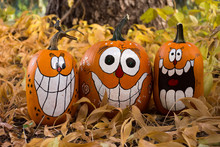Three Smiling And Laughing Pumpkins With Painted Faces That Have Oval Eyes And Big Teeth. The Pumpkins Are Sitting In Dried Leaves.