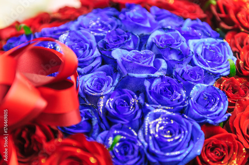 ゴージャスなラメが付いたキラキラの赤と青の薔薇 Stock Photo Adobe Stock