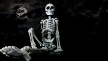 Halloween Toy Skeleton Sitting Down In A Relaxed Manner With The Moon And Dark Clouds Behind.