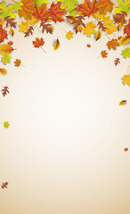 Wall Mural - autumn foliage brown background legal upright shadows