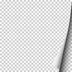 Wall Mural - Vector sheet of transparent paper with curled corner for text, ad and other. Template paper design.