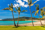 Fototapeta Do akwarium - Sandy beach with palm trees, Airlie Beach, Whitsundays, Queensland Australia