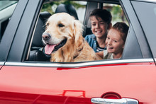 Kids Sitting In Car With Dog