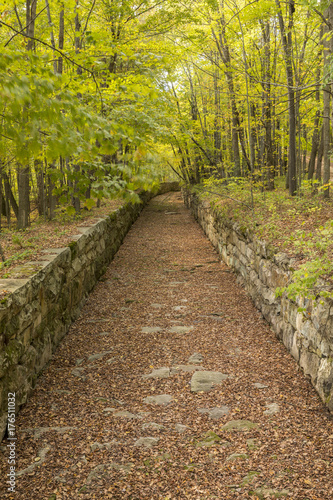 Fotografie, Obraz Flume In The Woods - A flume that was built to divert water away from nearby railroad track and tunnel