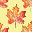 Seamless autumn pattern of watercolor maple leaves