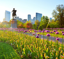 Boston Public Garden And City Skyline At Dawn