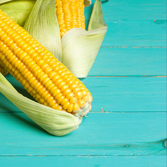 Wall Mural - Ripe yellow sweet corn cob on a turquoise wooden table close-up