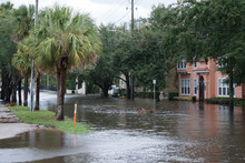 Flooded Riverside Avenue After Irma